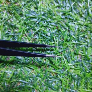 Best Tweezer Tool for Effortless Wire Connections