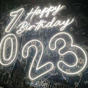 Single & Double Digit Neon Signs